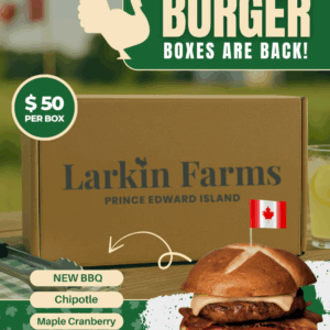 Burger Box