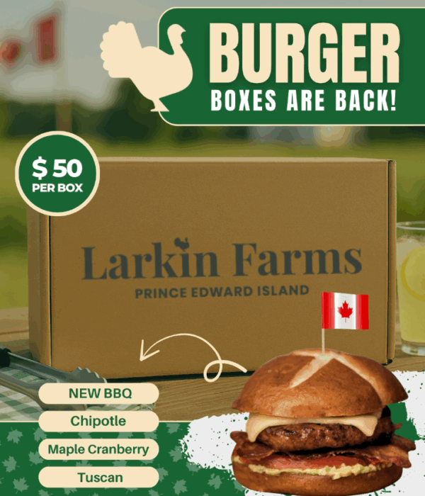 Burger Box